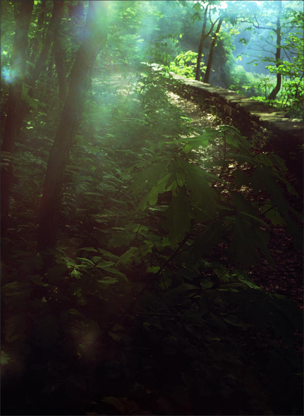 Letchworth morning - May 2010