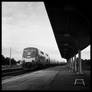 Amtrak inbound - August 2011