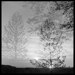 2013-147 Letchworth impressions