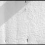 2013-333 Navel