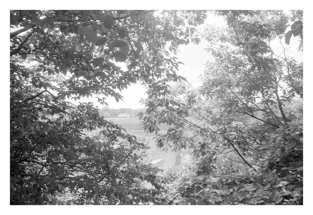 2016-208 Through the lattice by pearwood 2016-208 Through the lattice by pearwood