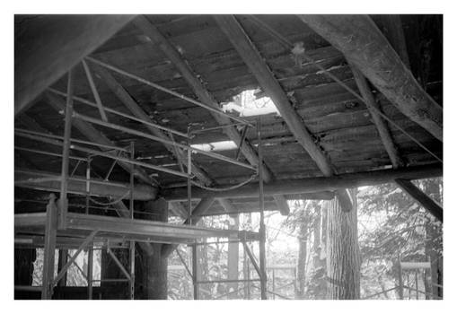 2020-365 Shelter on the Kisil Point trail