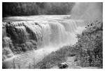 2021-239 Flowers by the falls by pearwood