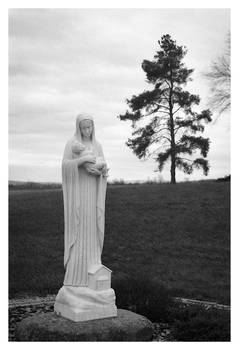 2021-360 Our Lady of the Genesee