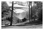 2022-186 Water, sunshine, trees, and bridge by pearwood