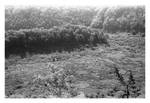 2022-235 Hogsback from the north by pearwood
