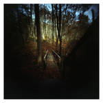 2022-314 Black Bridge by pearwood