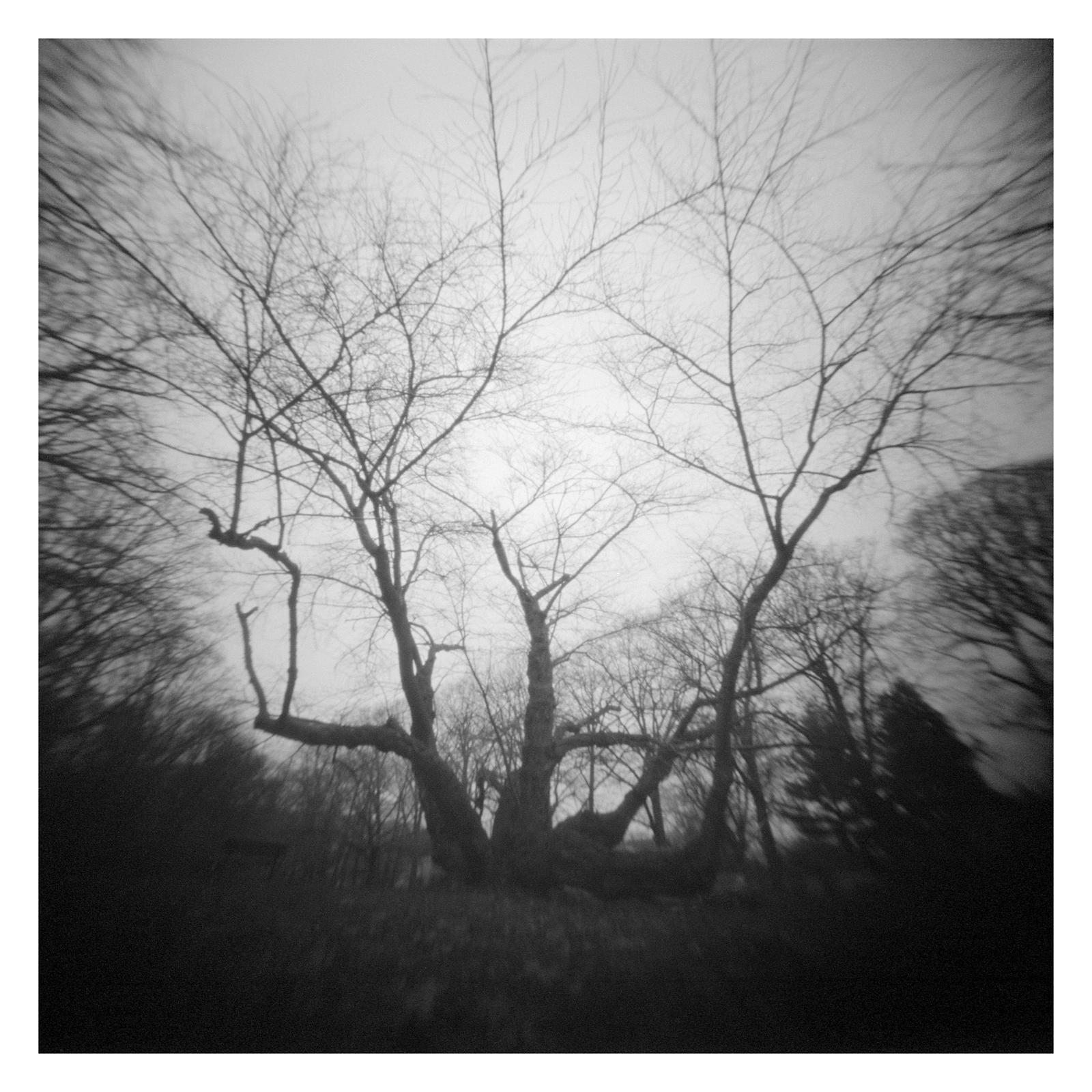 2023-005 Reaching darkly