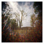 2023-198 Saint Helena kaleidoscope by pearwood