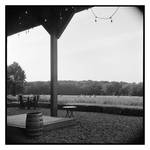 2023-227 Waiting at the farm by pearwood
