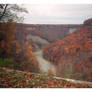 2024-337 Fading Autumn