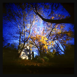 2025-347 A surreal day in the neighborhood - G