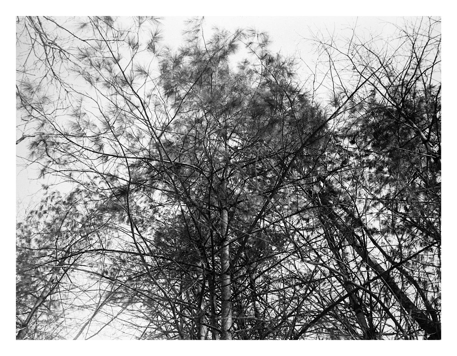 2026-058 To the sky