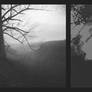 2026-124 Days as echoes