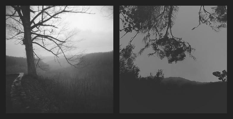 2026-124 Days as echoes