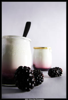 Blackberry Yogurt VII