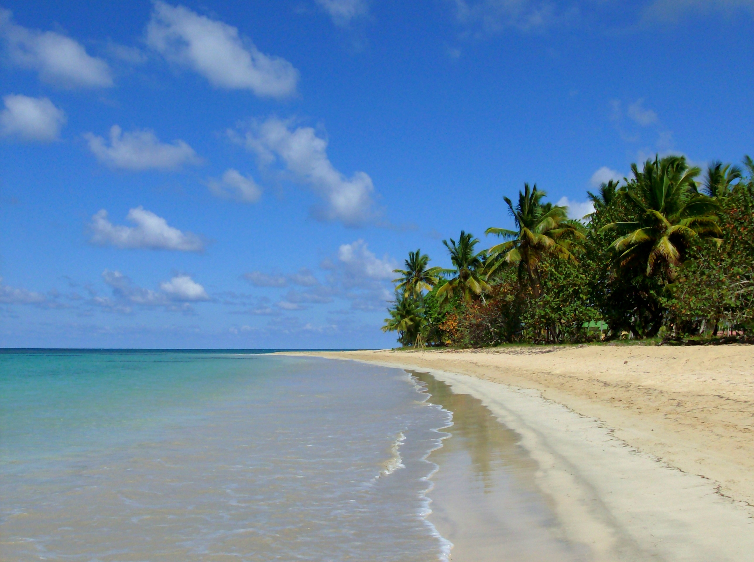 caribean beach 1