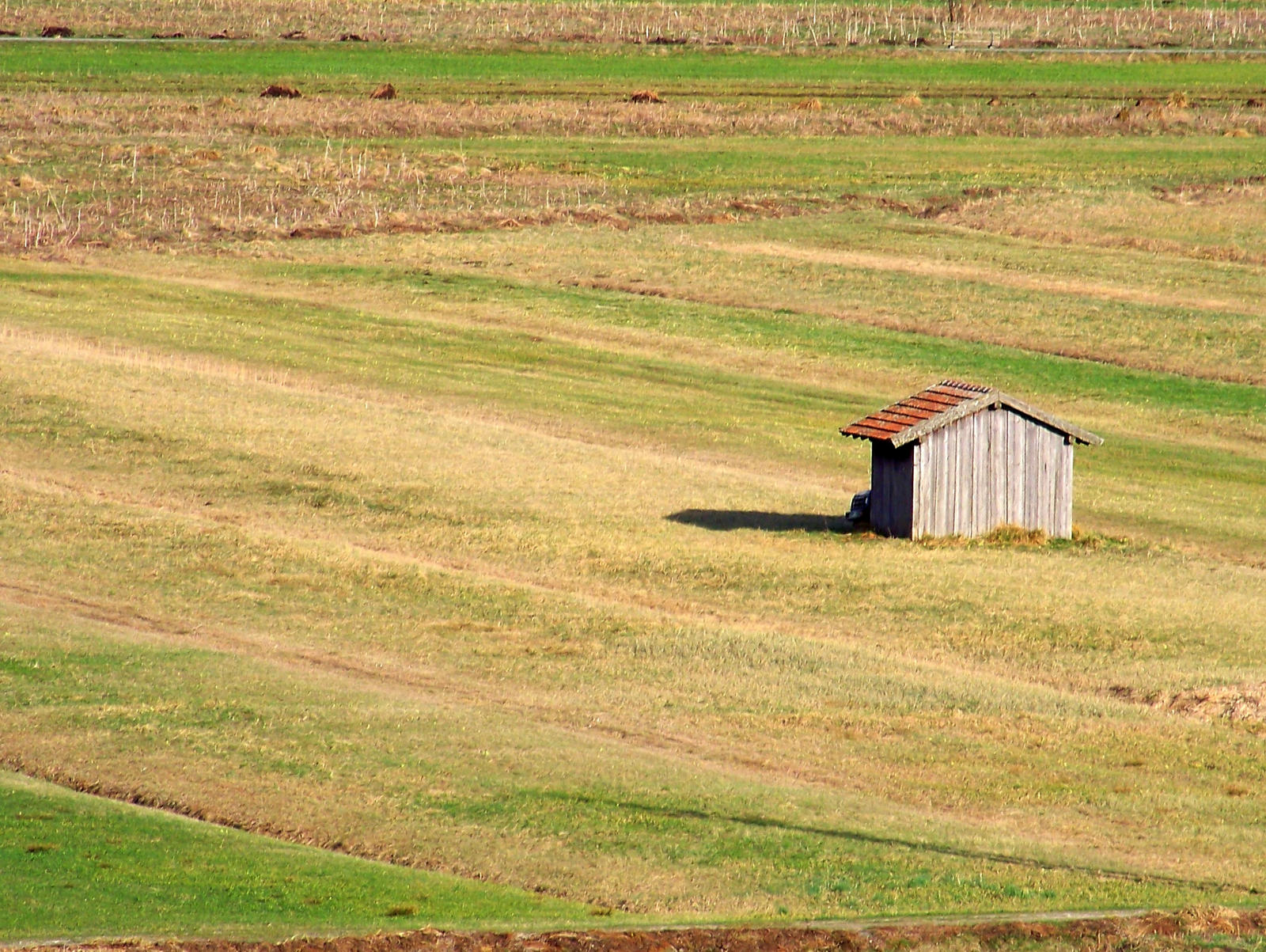 hut in the moor