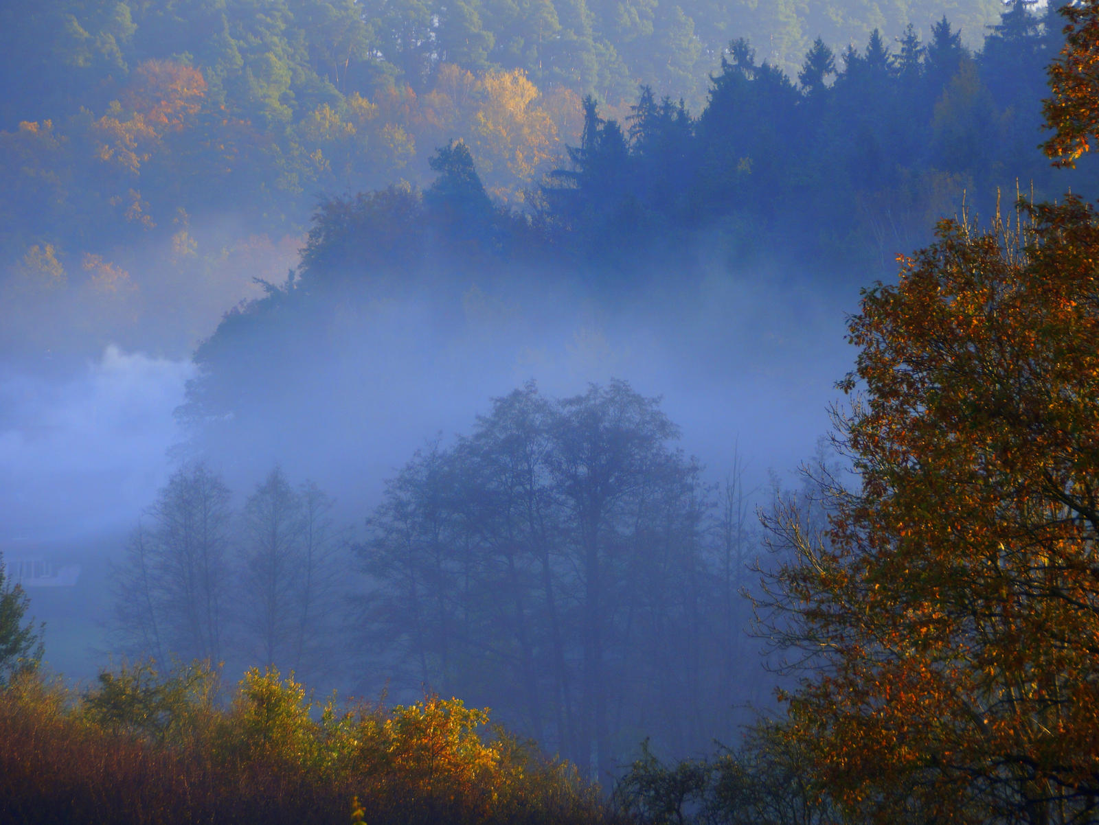 november mist