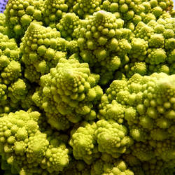 romanesco