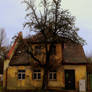 ruin and tree