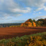 autumn morning walk