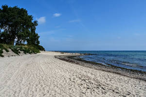 empty beach