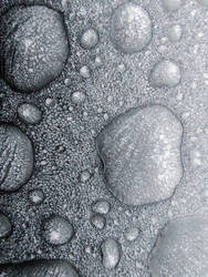 frozen water drops by Mittelfranke