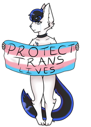 PROTECT TRANS LIVES