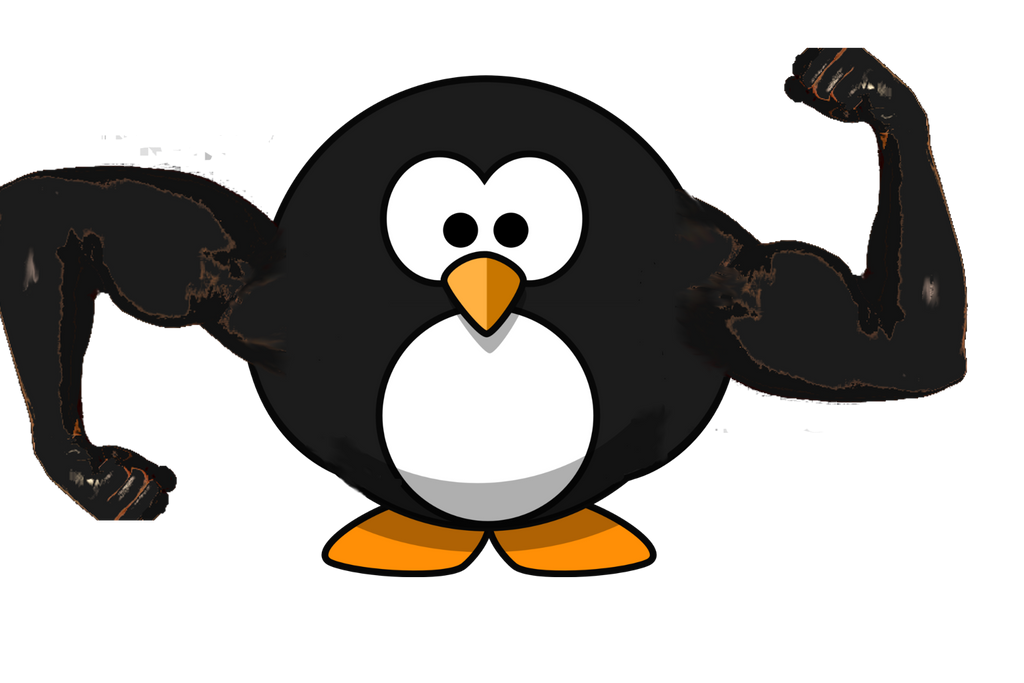 Bodybuilder Pengu Muscle Penguin by stormingpenguin on DeviantArt