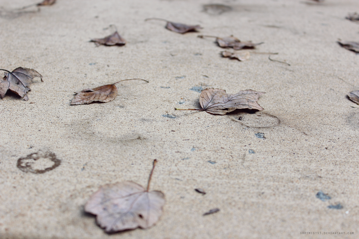 Leaf Stains 3