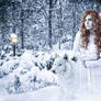 A winter fairy tale