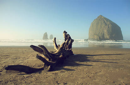 Cannon Beach, Oregon