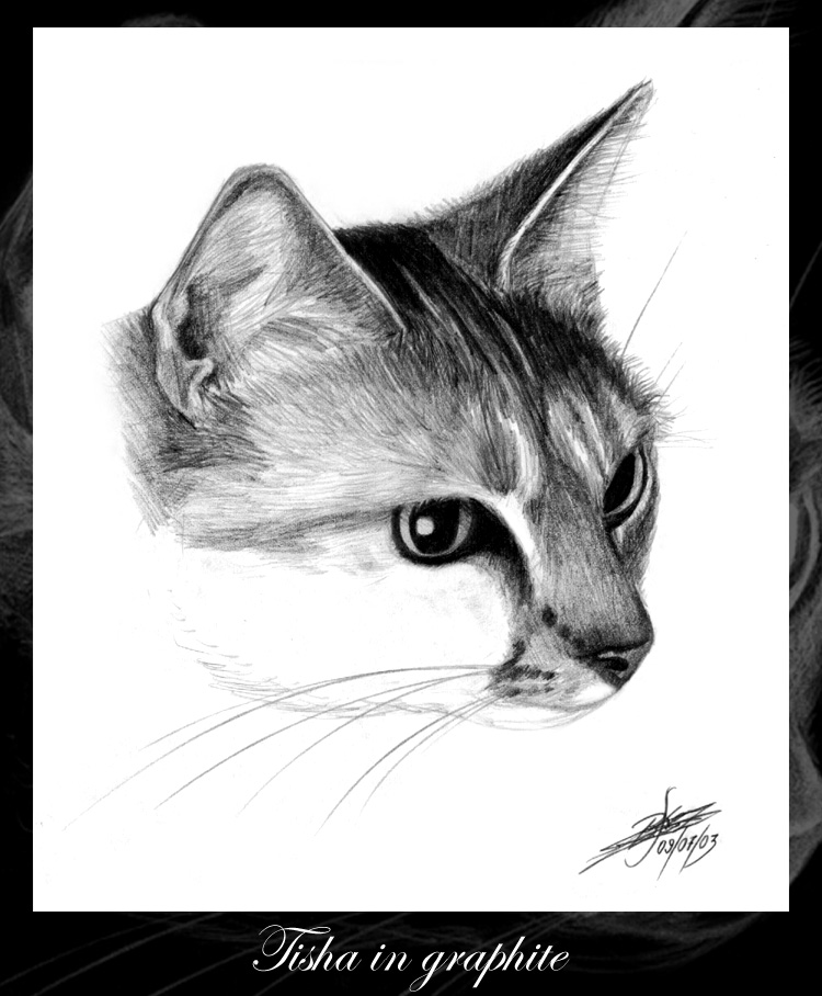 Tisha in graphite