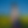Anna in raps field