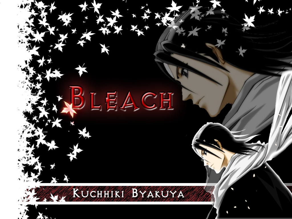 Bleach 5