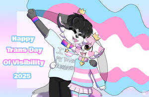 Happy transgender day of visibility 2025