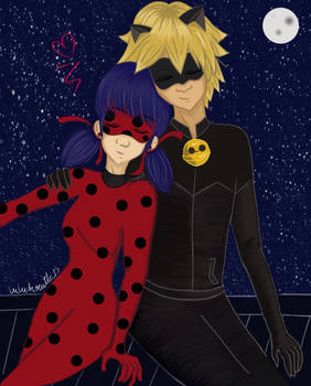 Chat noir  Ladybug Night Time