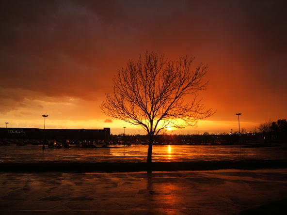 Storm tree