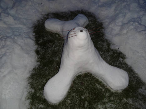 Snow Seal