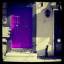 violet door