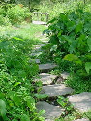 Cobblestone Path