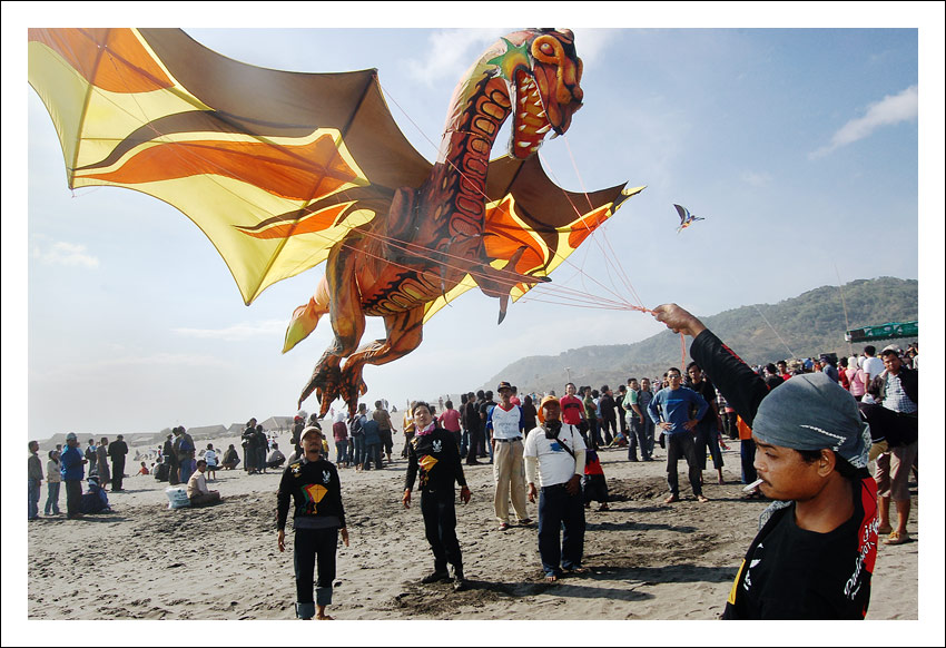 dragon taming