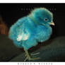 Dilbert the chick