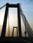 Maracaibo's Symbol I by amesho