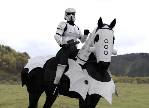 Imperial Cavalry Stormtrooper