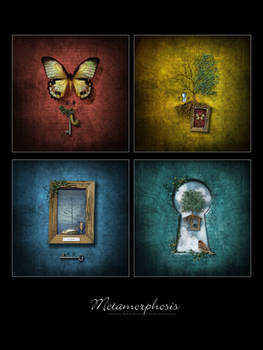 Metamorphosis Series