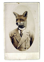 Young Mr. Fox