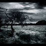 Darkness Falls