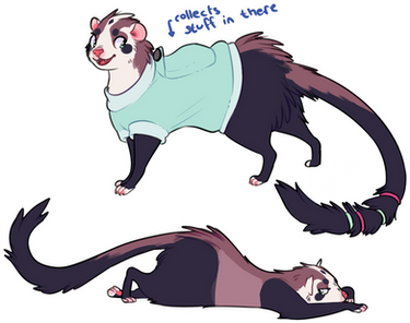 Ferret design